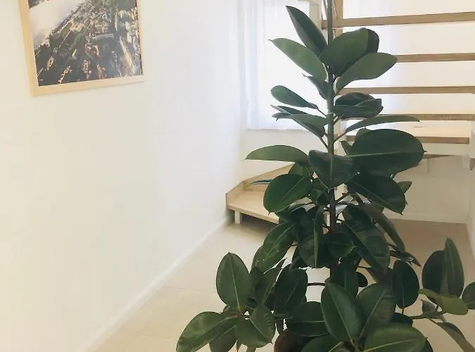 בית הארחה Duna Vendeghaz Fadd-Dombori